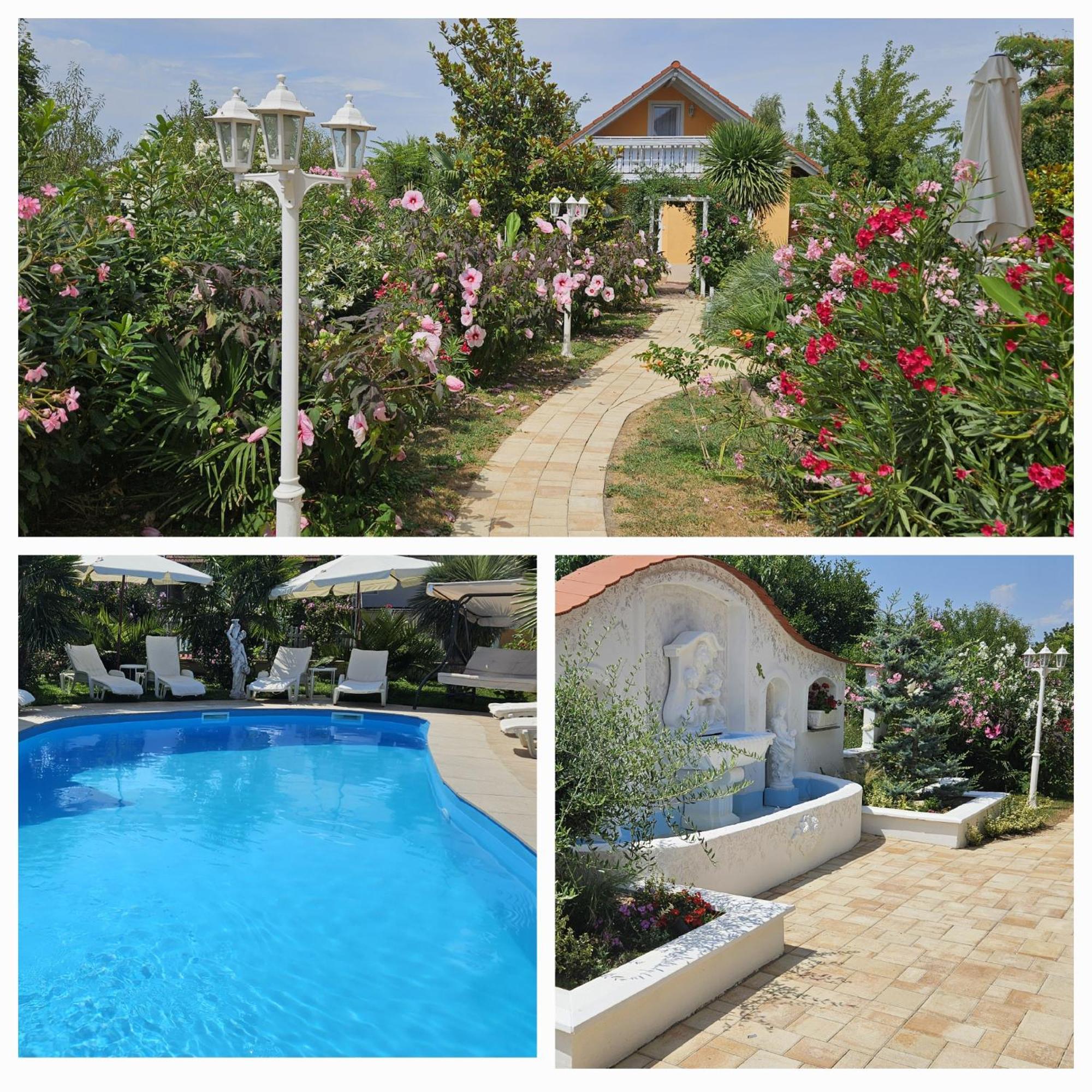 Paradise-Garden-Zamárdi Rom bilde